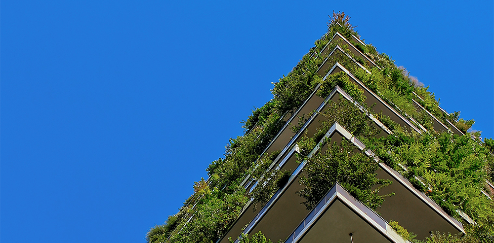 The World's Best Net-Zero Buildings: What We Can Learn From Them